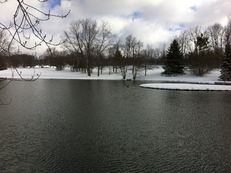 Winterpond